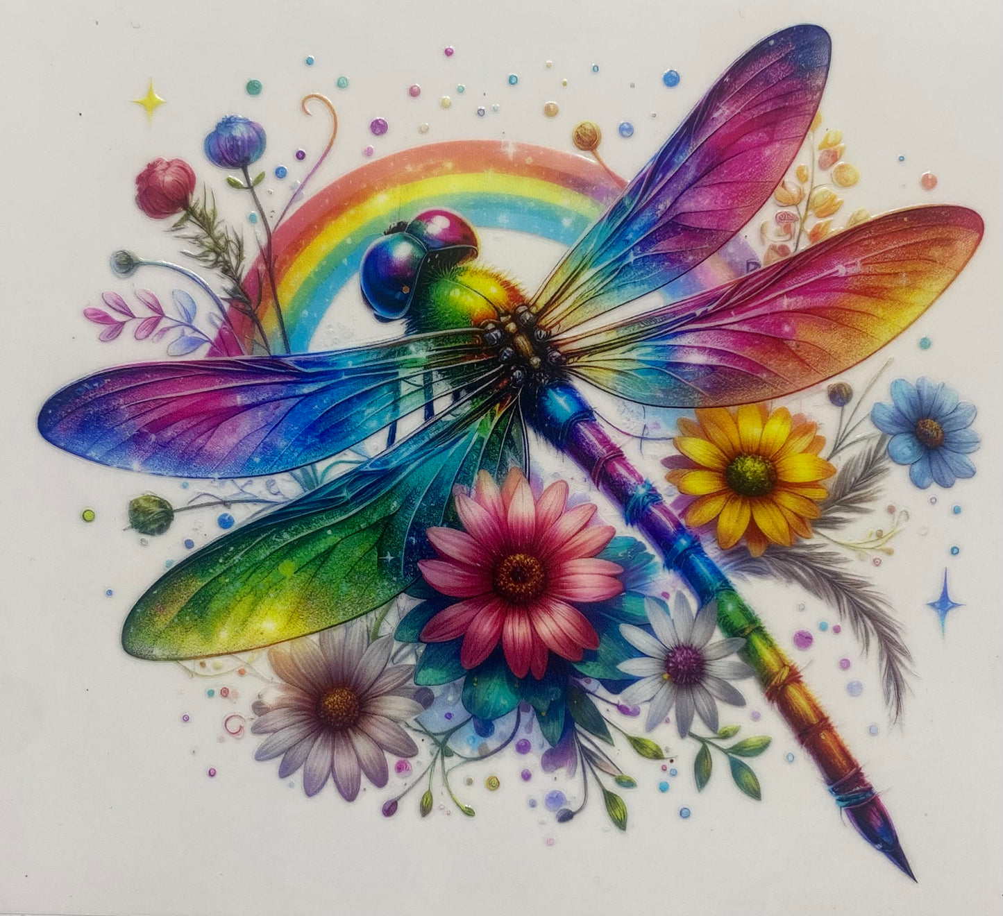 Dragonfly – rainbow