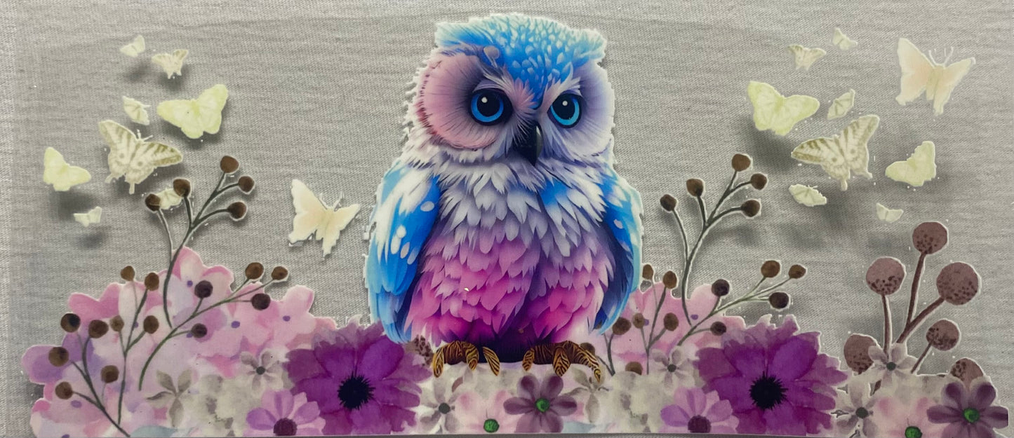 Colorful Owl