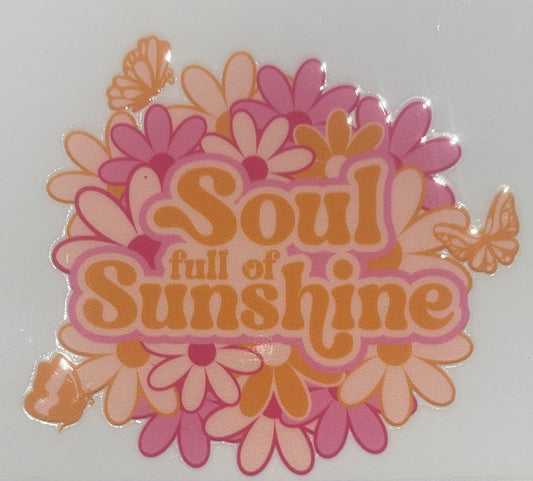 Soup full of Sunshine