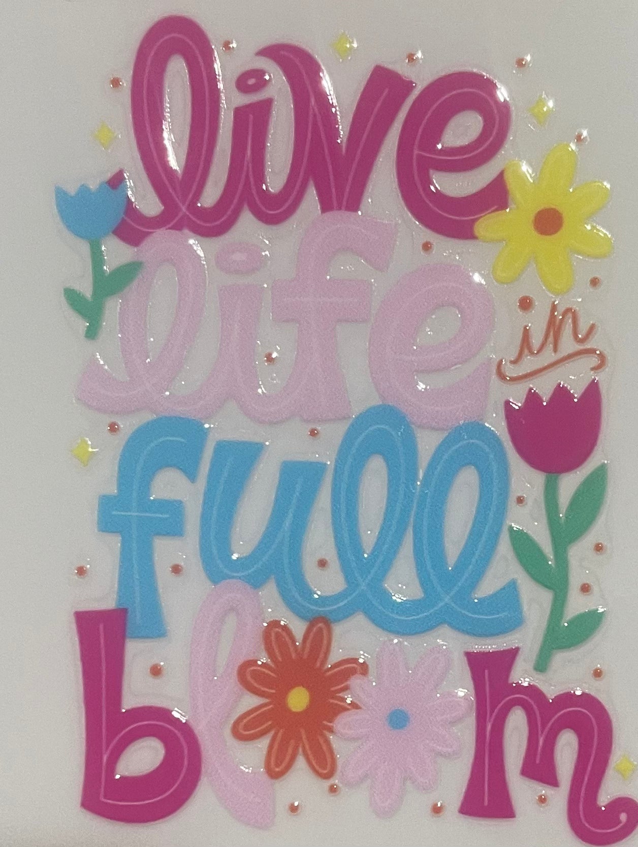 Live life in full bloom pink/blue